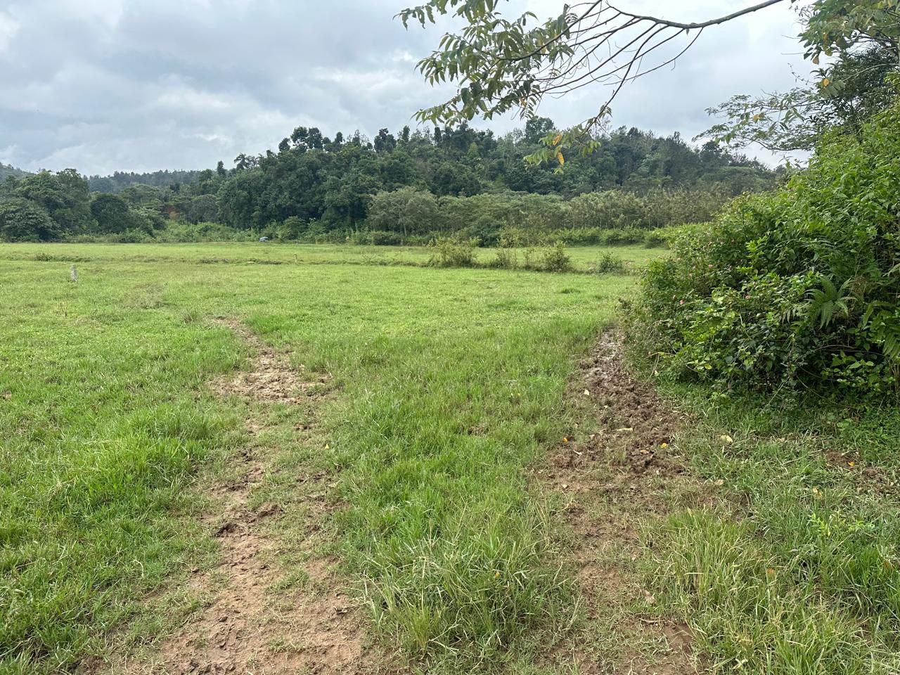 3 acre agri land for sale in Mudigere